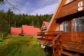 Perełka Bieszczady Domki, Czaszyn